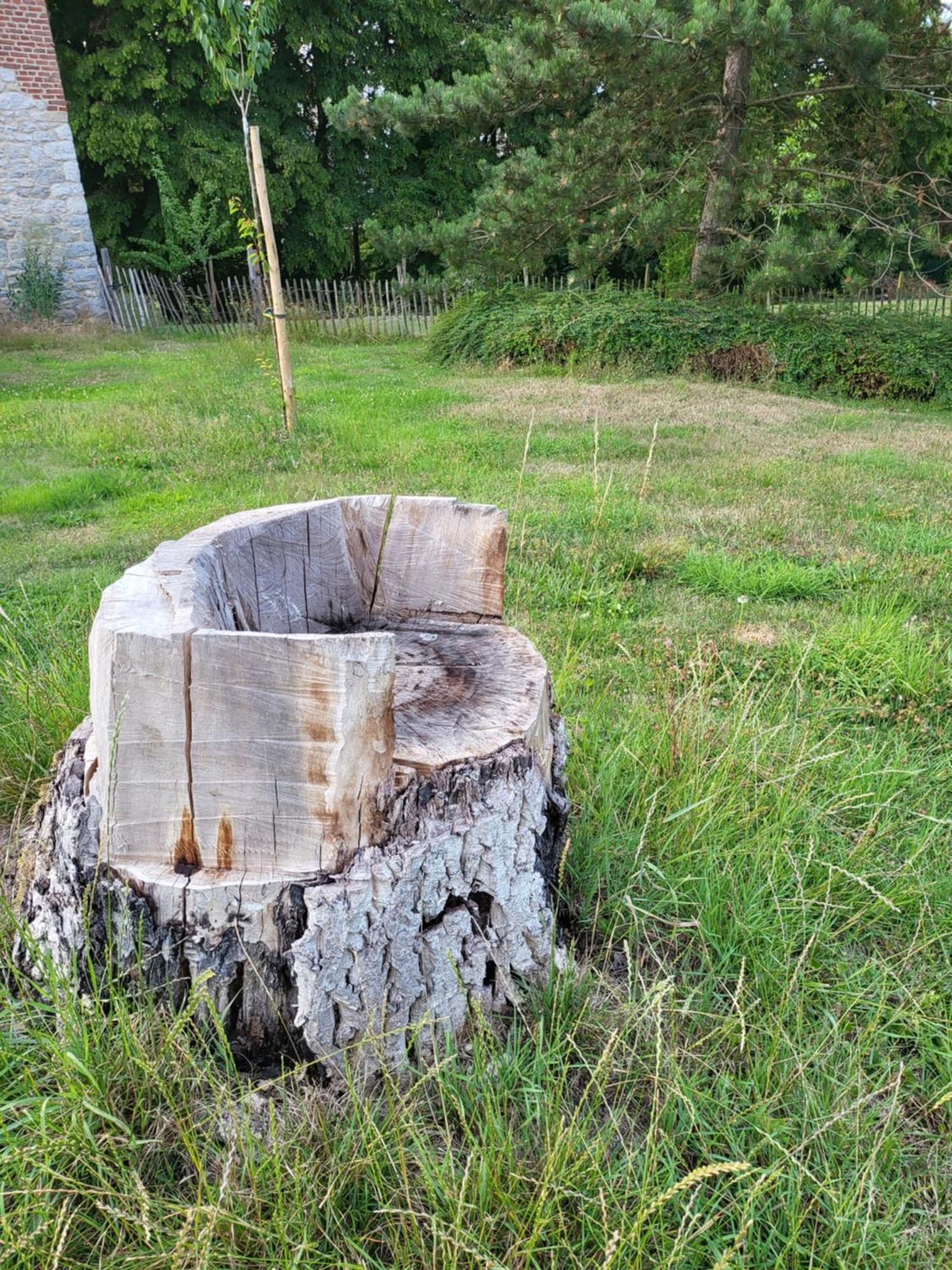 A La Salle De Jeux Et Son Jardin Autour De La Cabane Verte Dinant Exterior foto